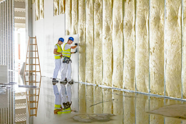 Best Local Insulation Services  in Falls Creek, PA